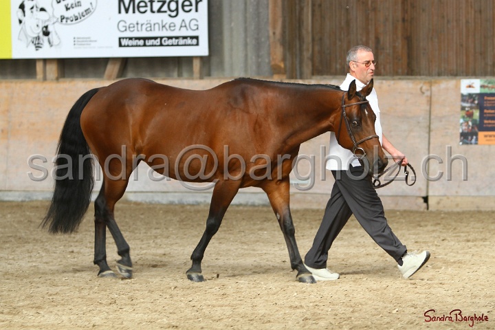 24-ApHC HIH_024.jpg